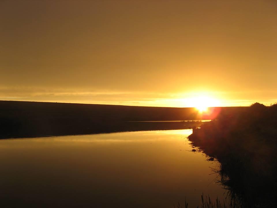 chiroiu 4 - 14697635838804416650452017281561n.jpg